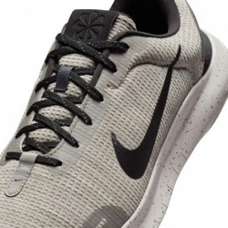 Chaussures de course sur route Nike Flex Experience Run 12 pour homme (extra larges) (DV0744-001, minerai de fer clair/étain pla