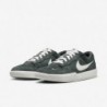 Chaussures de skate Nike SB Force 58 (DV5477-301, Vert vintage/Vert vintage/Voile/Voile)