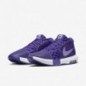 Nike Lebron Witness VIII TB (FB9944-500, violet/blanc-poudre)