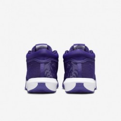 Nike Lebron Witness VIII TB (FB9944-500, violet/blanc-poudre)