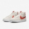 Chaussures de skate Nike SB Zoom Blazer Mid (FD0731-003, Fantôme/Blanc/Sapin/Argile cosmique)