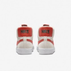 Chaussures de skate Nike SB Zoom Blazer Mid (FD0731-003, Fantôme/Blanc/Sapin/Argile cosmique)