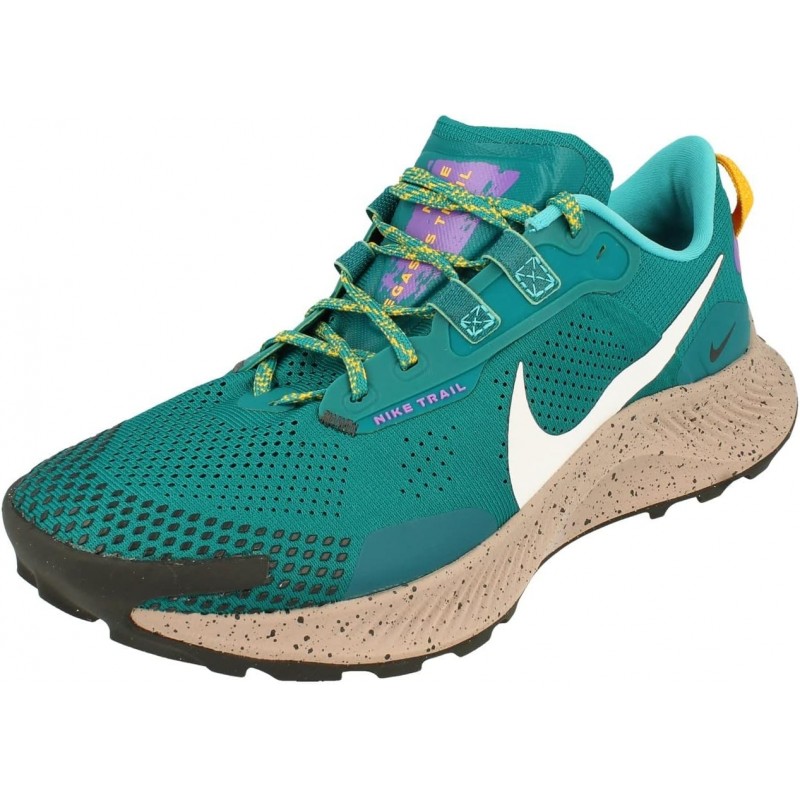 Chaussures de course Nike Pegasus Trail 2 pour homme